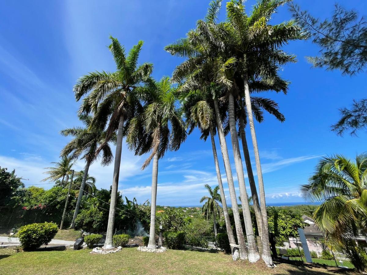 Hotel Peaceful Palms Montego Bay Esterno foto